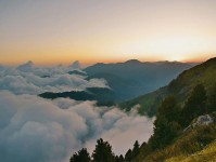 神马影视快读不快信：先问单位标明吗，再把字幕改描述